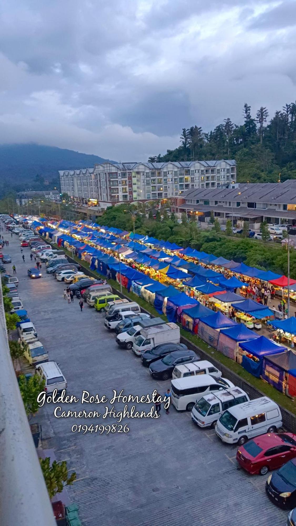 Golden Rose Homestay Cameron Highlands Brinchang Exterior foto